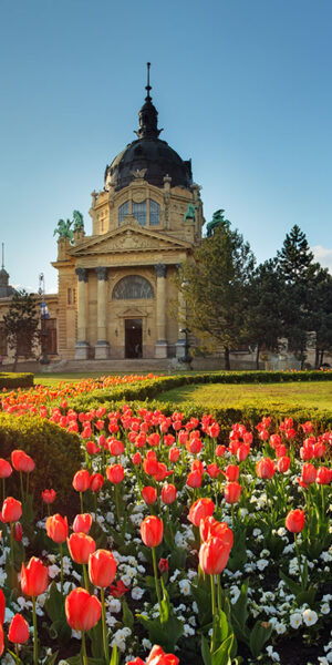 Panorama primaverile di Budapest